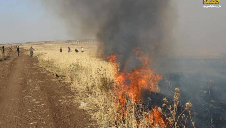 Ladang Gandum di Provinsi Homs Suriah Dibakar Pasukan 